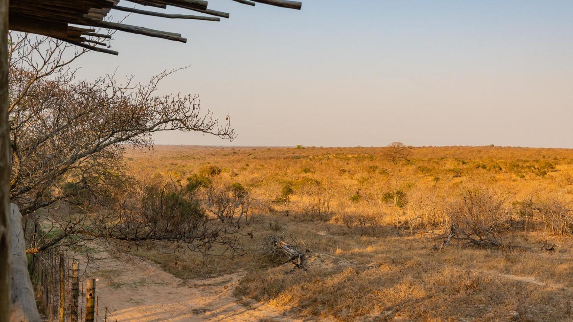 Sunbirds Oasis Lodge Hoedspruit Eksteriør billede